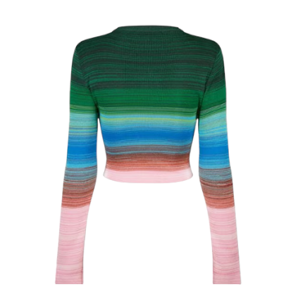 Missoni Women's Long-sleeved Striped Crop Top Multicoloured - Back View